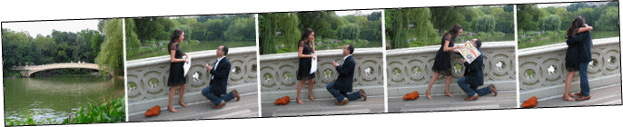 Proposal Caricature NYC